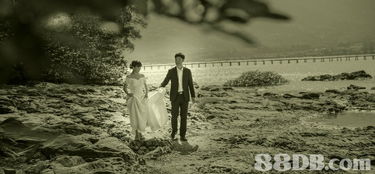 定格永恒瞬間 婚紗攝影與婚禮影像服務(wù)的全方位指南